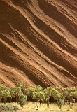 698_Uluru (6)